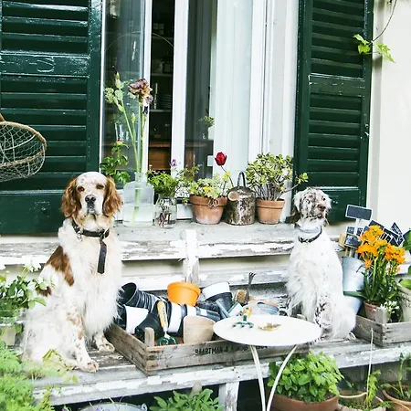 Derriere Bed and breakfast Cernobbio